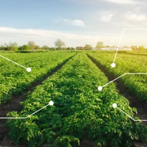 Practical Remote Sensing in Agricultural in Different Sites